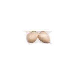 PIEGE A OEUF POUR FOUINE