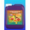 ENGRAIS FLORA BOOSTER 10 L