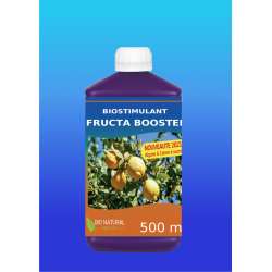 FRUCTA BBOSTER 500ML