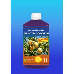 FRUCTA BOOSTER 1L