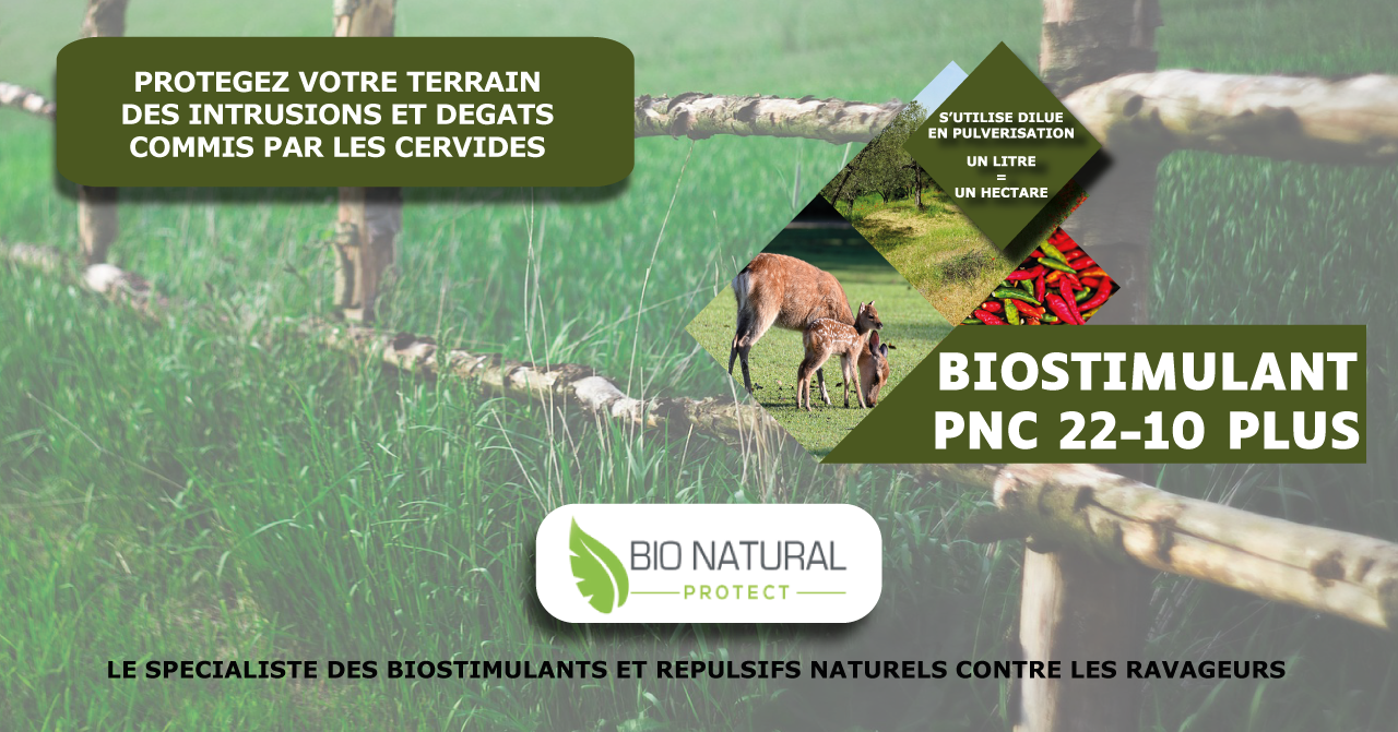 Biostimulant à effet répulsif anti cerfs